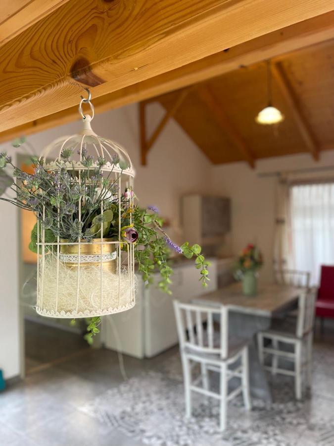 Ibolya Apartman Csisztapuszta Zewnętrze zdjęcie
